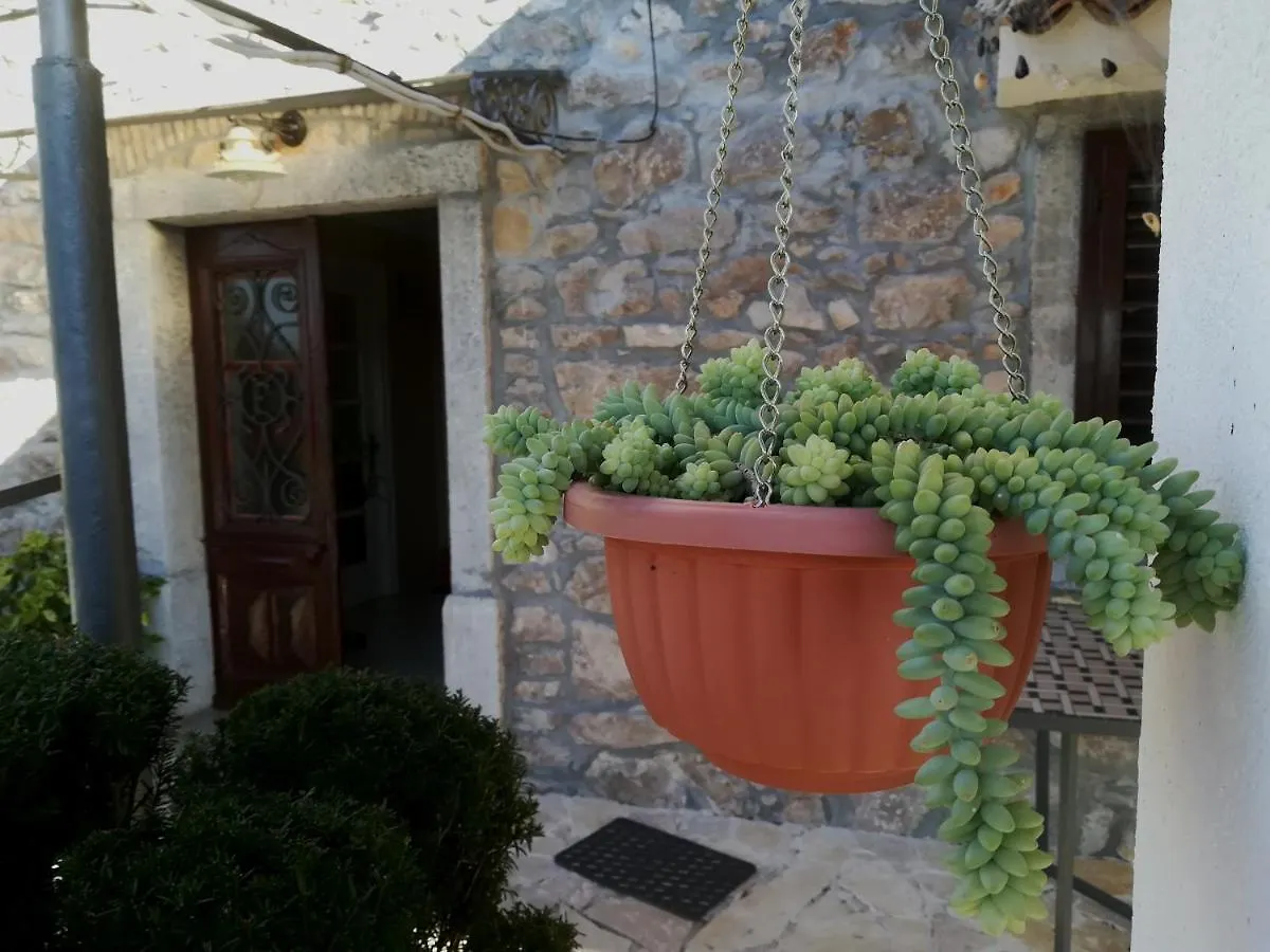 House Pelcic Kostrena Apartment 0*,